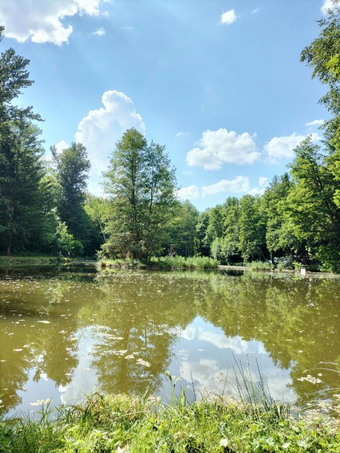 Les Capucines La Souris Des Champs Apartment Étival-Clairefontaine Екстериор снимка